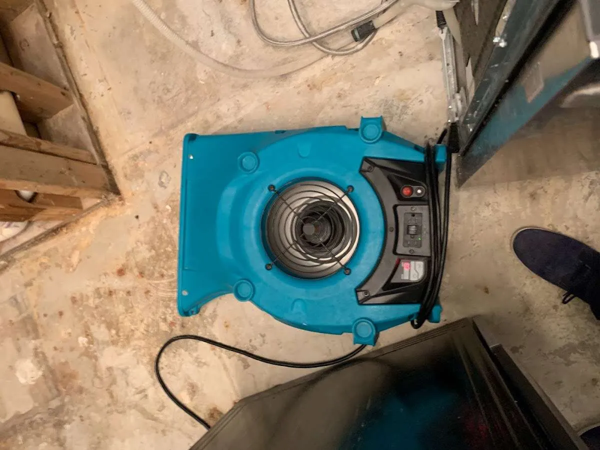 Air mover drying equipment for Mold Remediation & Removal in West Bountiful